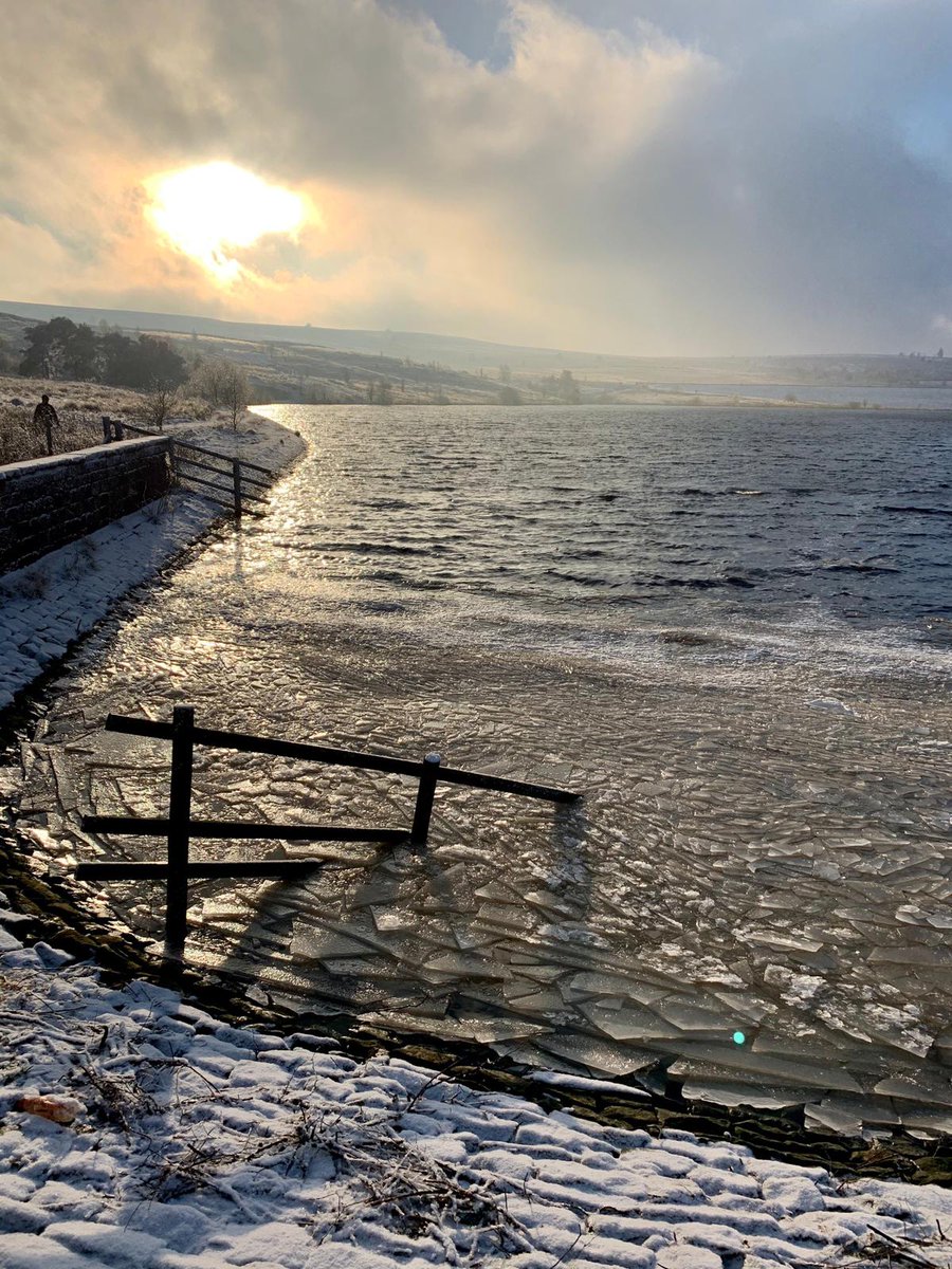 Dr Carolyn Staton tweet media