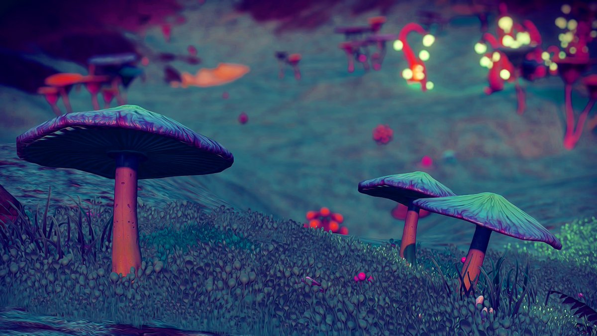 ProceduralTRV's tweet photo. Untold Journeys #NoMansSky #NoMansSkyORIGINS #NMSPhotography @hellogames @NoMansSky https://t.co/iem7JPe61N