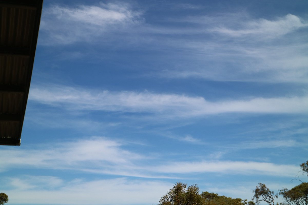 wanderinganimal's tweet photo. Why is it every time you
(#AskBOM) forecast hot days' strong Northerly winds'&thunderstorms' we're witnessing these fake #EMF's clouds?..and same when synoptic chart shows rain, we're witnessing the same+ugly hazy skies from drifting aerosol injection.
@ScottMorrisonMP stop it! https://t.co/xByMbpxHqA