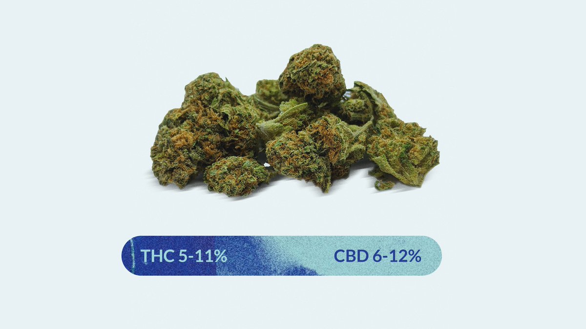 We could all use a little more balance in our lives.

Explore the Fleurísh dried flower shop: bit.ly/2BJw9sx