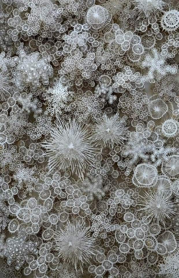 verdejomar's tweet image. Nieve al microscopio 🔬