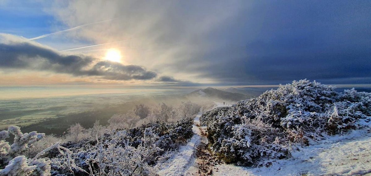 Dave Throup tweet media