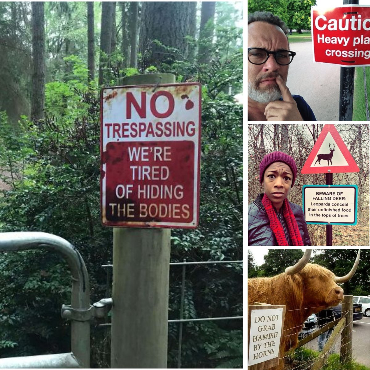 petsreporter1's tweet photo. What’s the deal with these signs? 🤨