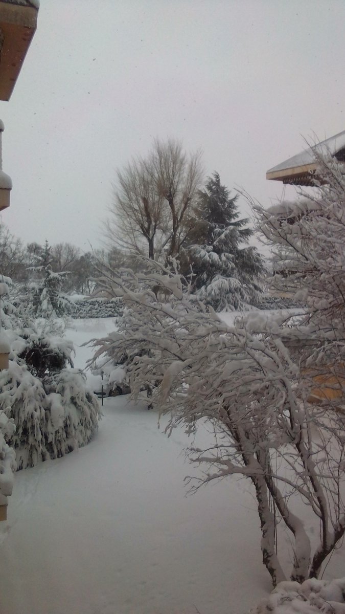 FIRET B.Forestales tweet media