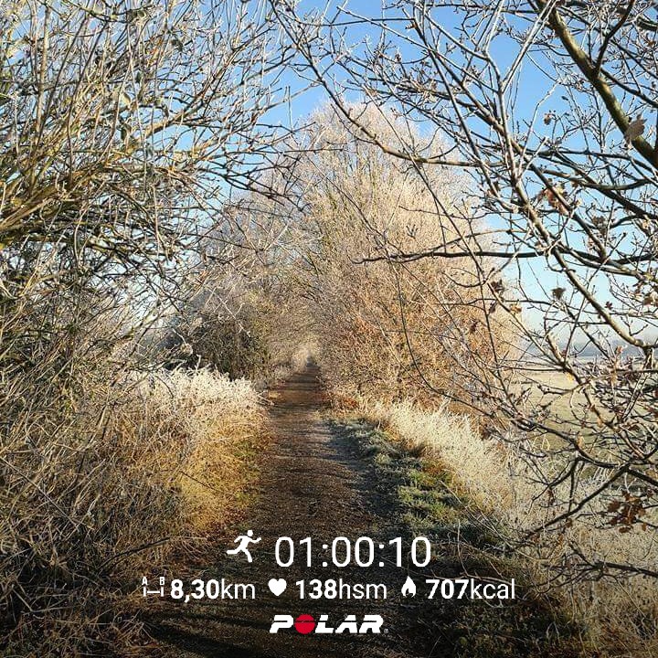 Heerlijke rustige duurloop door het Mechels Broek, en terwijl genieten van de natuur #RunningMan #runningmanchallenge #hardlopen