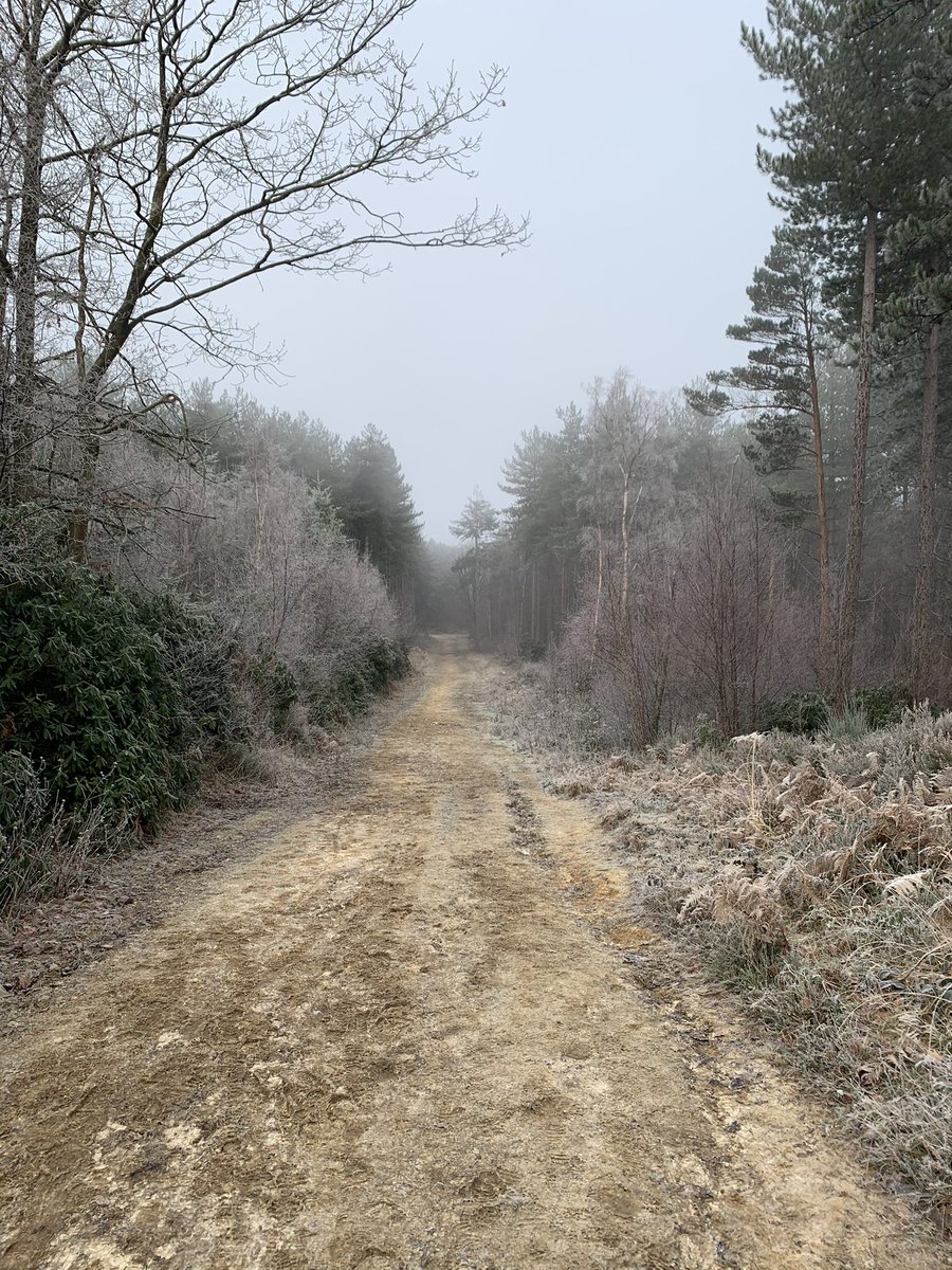 Joe Panter tweet media