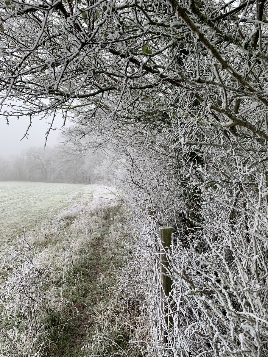 Joe Panter tweet media