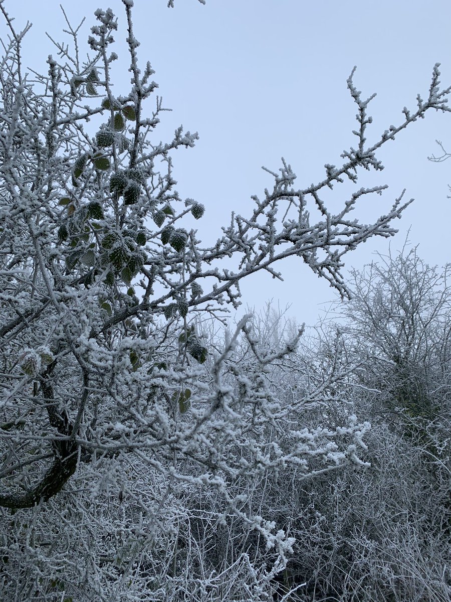 Joe Panter tweet media