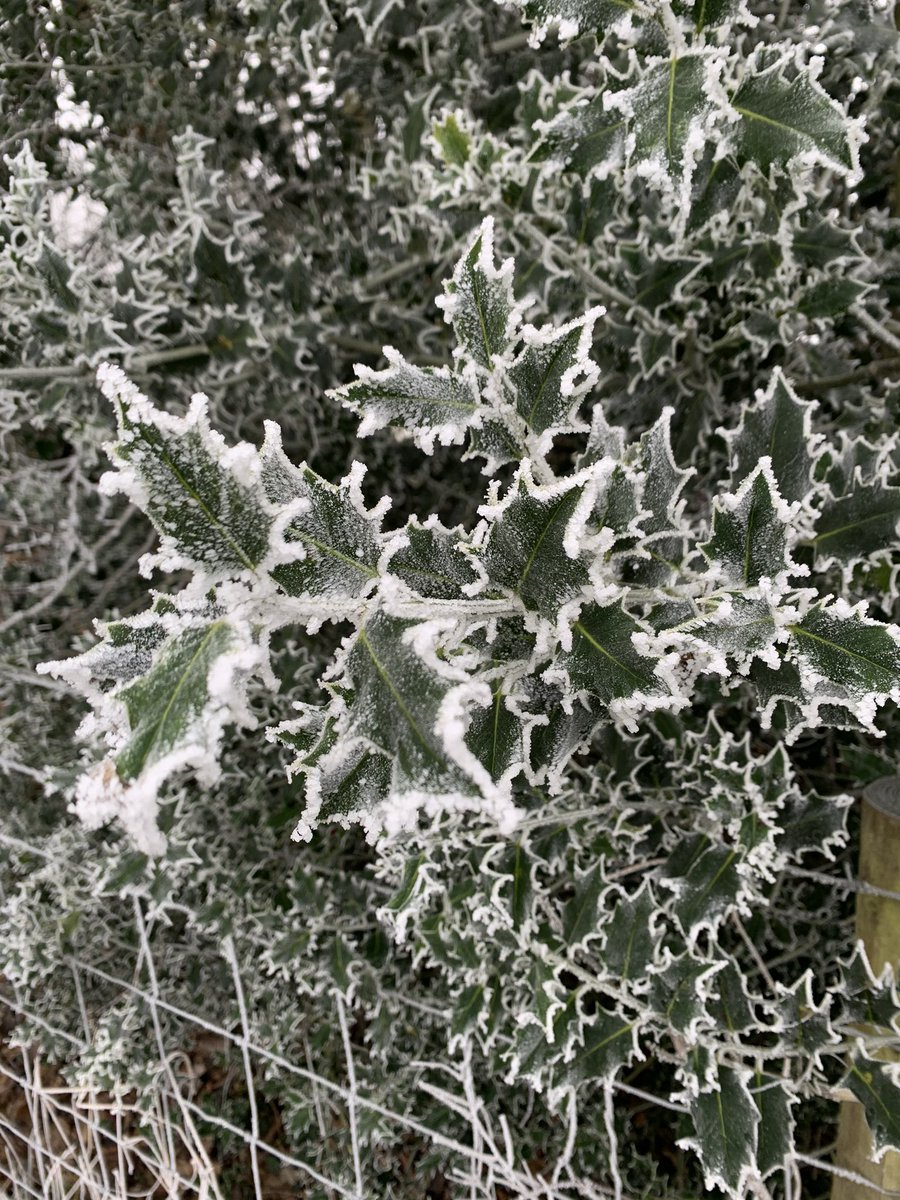 Joe Panter tweet media