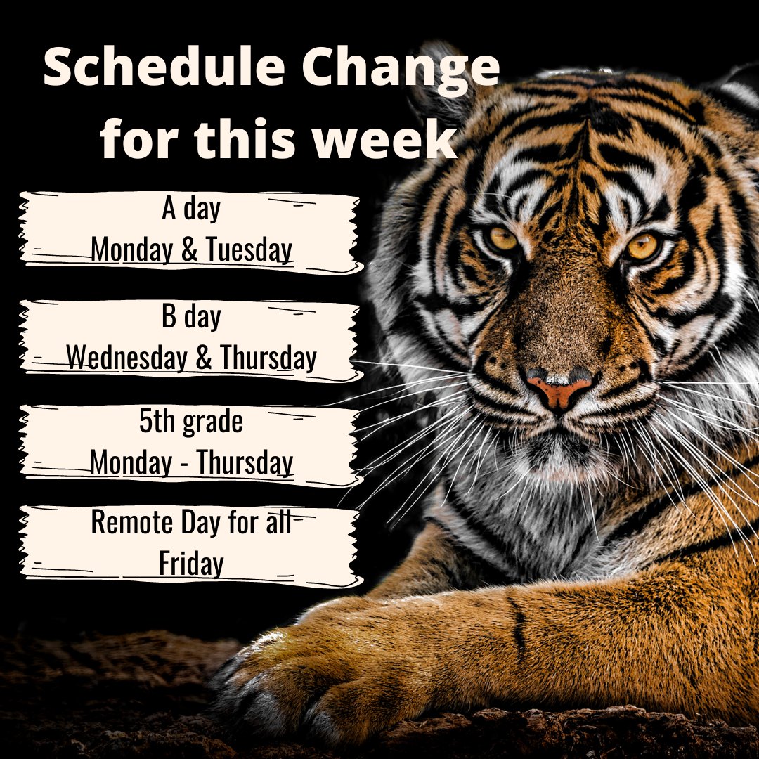 Randleman Middle School tweet media