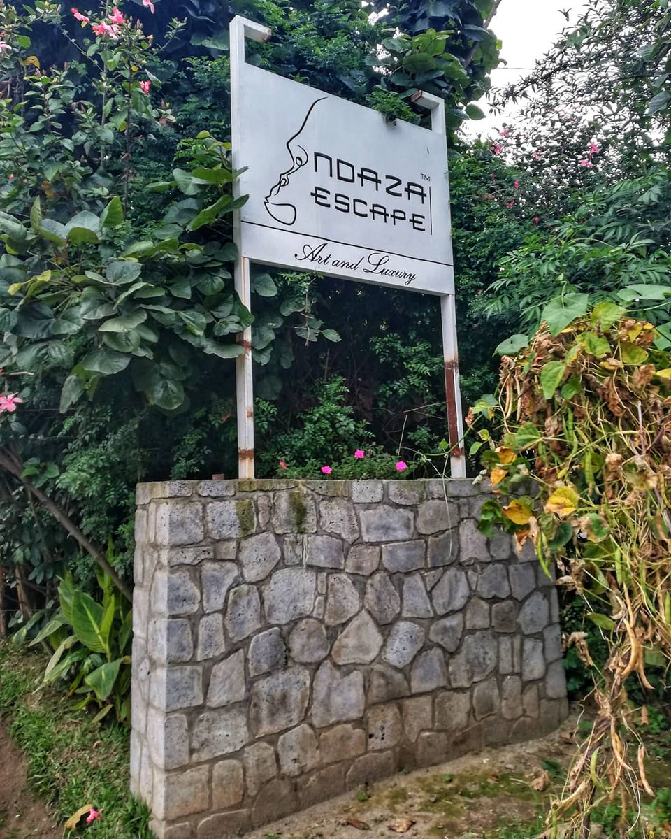 LMusanze's tweet photo. Mark @ndazaescape on the list of places to visit in Musanze. It is a contemporary boutique hotel located near kinigi and one minute walking from Africa Rising Cycling Center. 

If you are a coffee, environmental and art lover you will absolutely love the place.

#livinginmusanze https://t.co/p32BpnEvgX