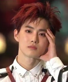 I didn't talk about their concert tours.....