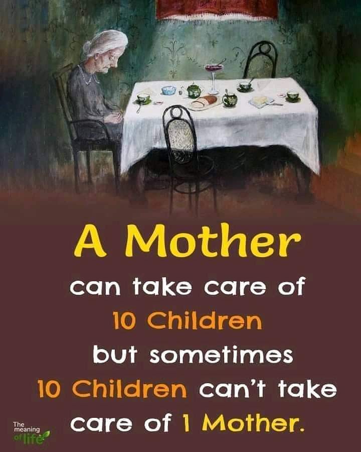 Caring for Aging Beauties tweet media