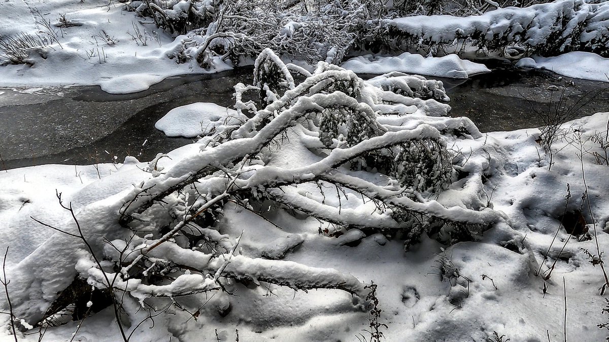 steveexplore's tweet photo. https://t.co/HeJ9Yt0Zl4
Fourmile Brook in the Adirondack Mountains of New York 🏞️🏔️🌲
#adirondacks #youtube #gopro #biodiversity #nature #winter #travel #newyork #hiking #bushwacking https://t.co/6sM1HBjPW2