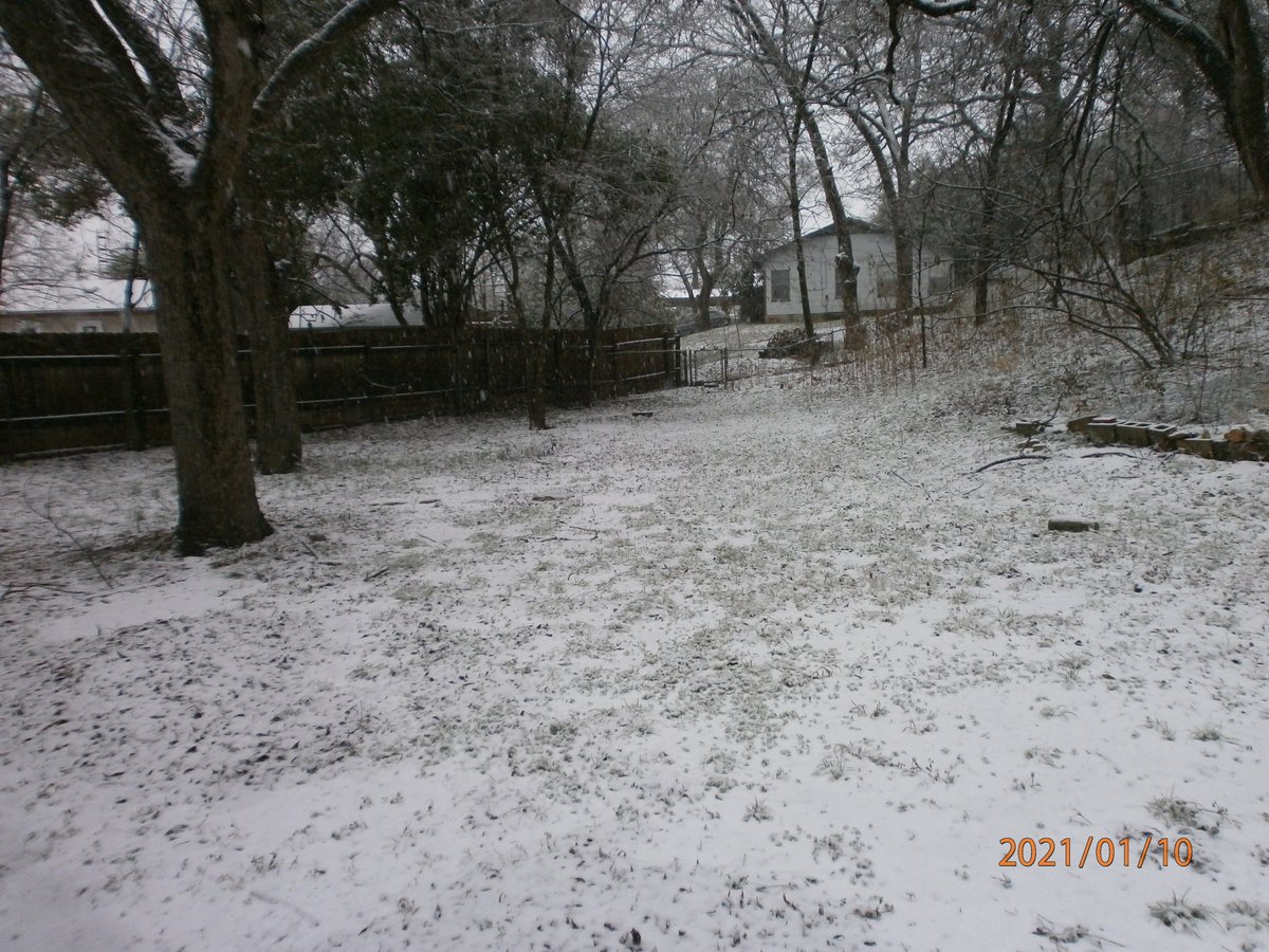 morrobay's tweet photo. snowing in Austin! https://t.co/eVV4xBYlO4