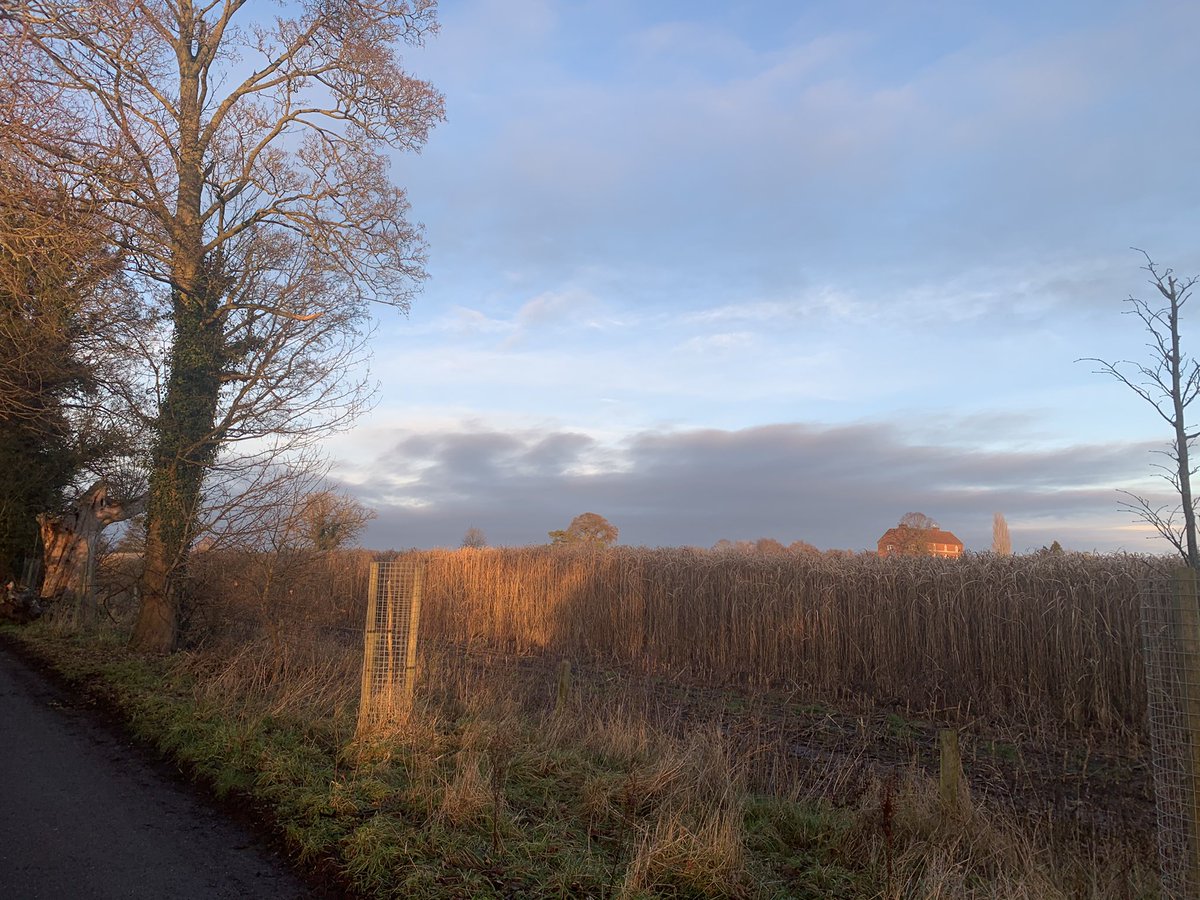 NFUMarketD's tweet photo. Where have you been for your lockdown walks? Share your pics with us 📷 #shropshire #countryside https://t.co/n4QlvGas00