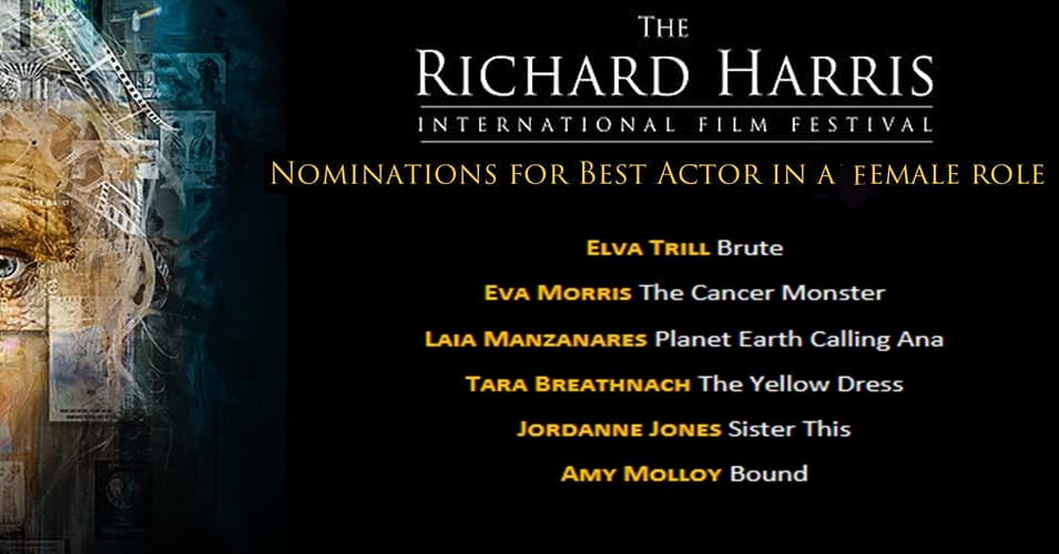 Congrats to our 3 Programme Alumni just nominated for Best Male Actor at <a href="/rharrisfilmfest/">Richard Harris International Film Festival</a> Take a bow #fiachkunz  @DonallOHealai <a href="/markmacgriffin/">Mark Griffin</a> AND to our Alumnae 
<a href="/ElvaTrill/">Elva Trill</a> (Programme) &amp; @jordanne_jones (YSA) nominated for Best Female Actor. So proud of you guys!
#owningit