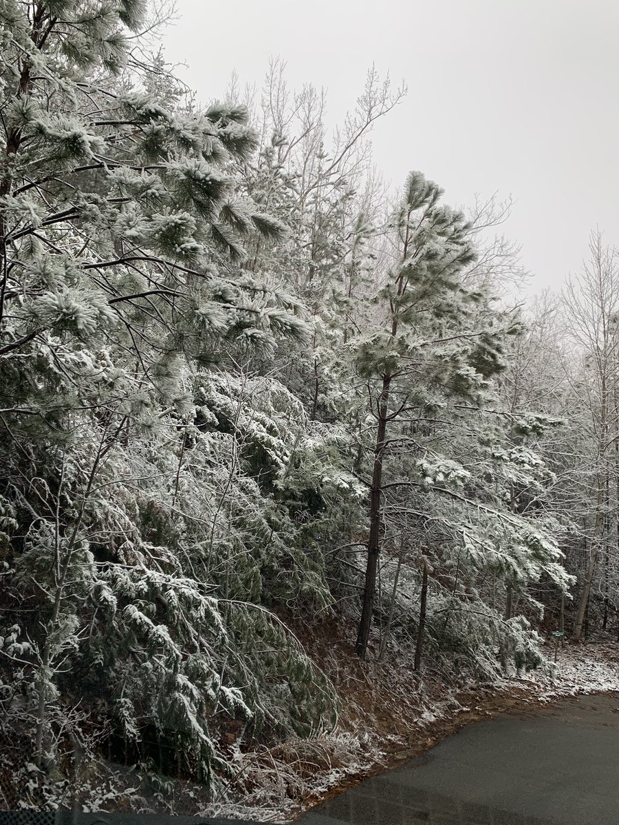 MacyFalls's tweet photo. Gatlinburg, TN @spann https://t.co/POfrIQ4p2h
