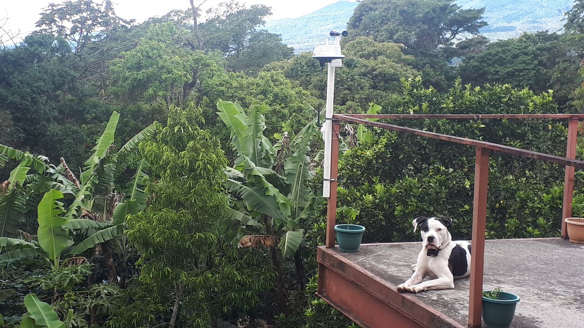 raspishake's tweet image. #SundayFunday @davisinst #VantageVue now colocated with #RaspberryShake personal #earthquake monitor #RBFB7 and streaming data from #Panama.