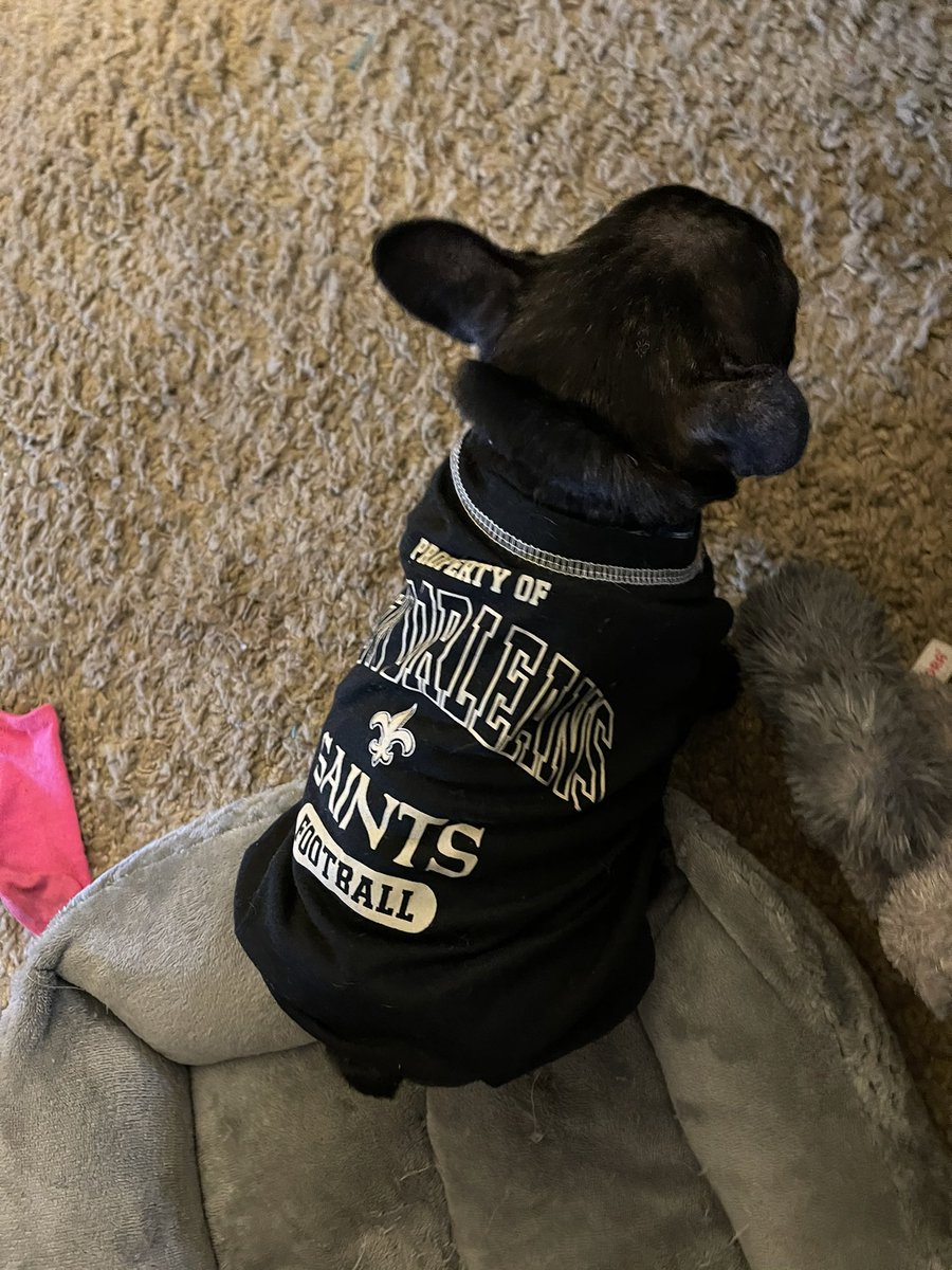 msdavenport22's tweet photo. Sundays are for Saints fans. If you know me, well then you know your job is to be a saints fan today as well. That is all. #GeauxSaints #sundaybrees #saints #nolasaints #whodat #whodatnation #thebillsarenotontoday https://t.co/v822izpKoV