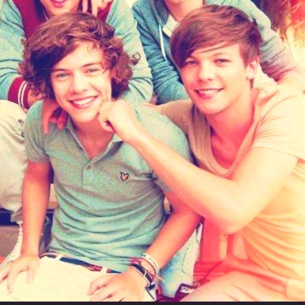 Interviewer: What would be the theme song to your life?Harry: Wouldn’t it be Nice, by the Beach Boy.(A Larry thread)Wouldn't it be nice if we were older?Then we wouldn't have to wait so long. And wouldn't it be nice to live togetherIn the kind of world where we belong?