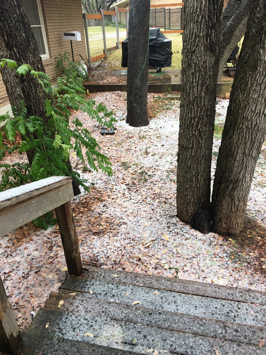 CatEarFace's tweet photo. Can anyone help me figure out what this white stuff falling in Austin is? https://t.co/Ezz7bMqyL3