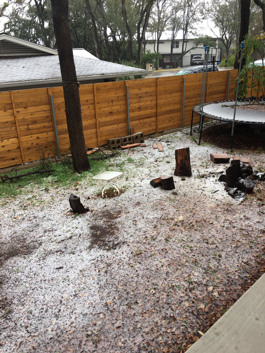 CatEarFace's tweet photo. Can anyone help me figure out what this white stuff falling in Austin is? https://t.co/Ezz7bMqyL3