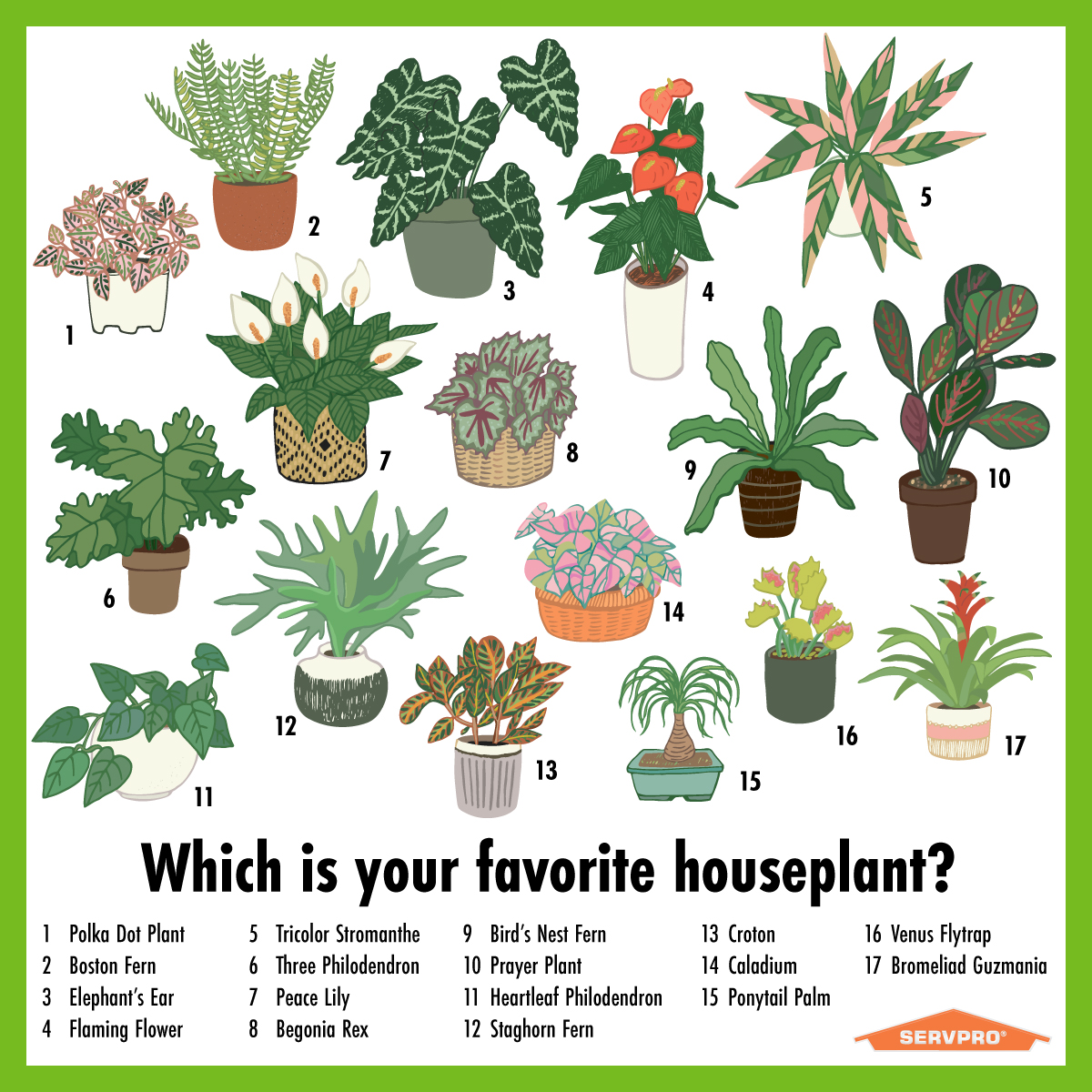 Many have re-done their home offices and added a little greenery. Since Houseplant Appreciation Day is a thing, comment below with either your favorite or with the one you own!