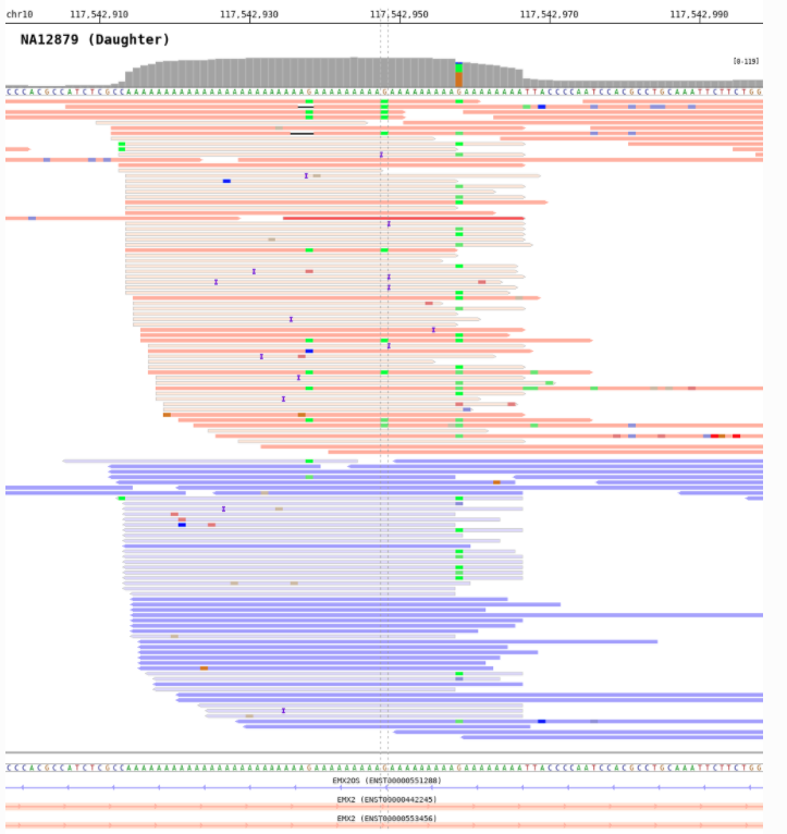 Do you need to take snapshots of sequenced reads repeatedly? BamSnap is a fast, efficient, and customizable tool for generating high-quality images, now in Bioinformatics academic.oup.com/bioinformatics…