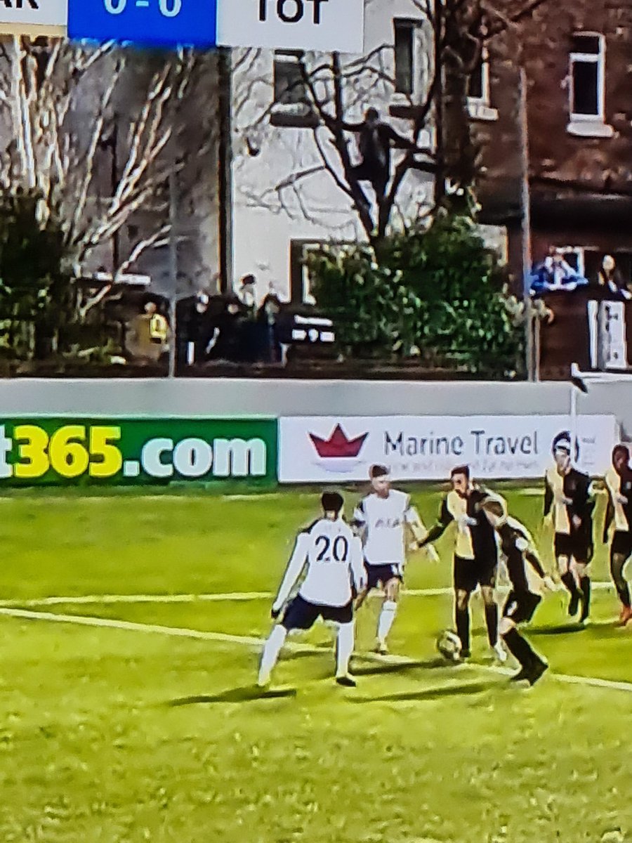 DudleyJon's tweet photo. Total respect to the guy watching the game in a tree. #MARTOT https://t.co/ieC0UwWQ6K