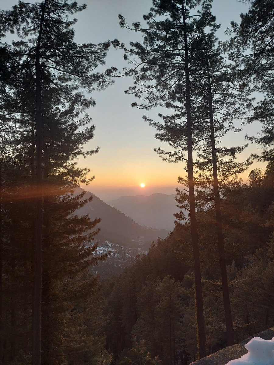 تو ہے سورج تجھے معلوم کہاں رات کا دکھ
تو کسی روز مرے گھر میں اتر شام کے بعد