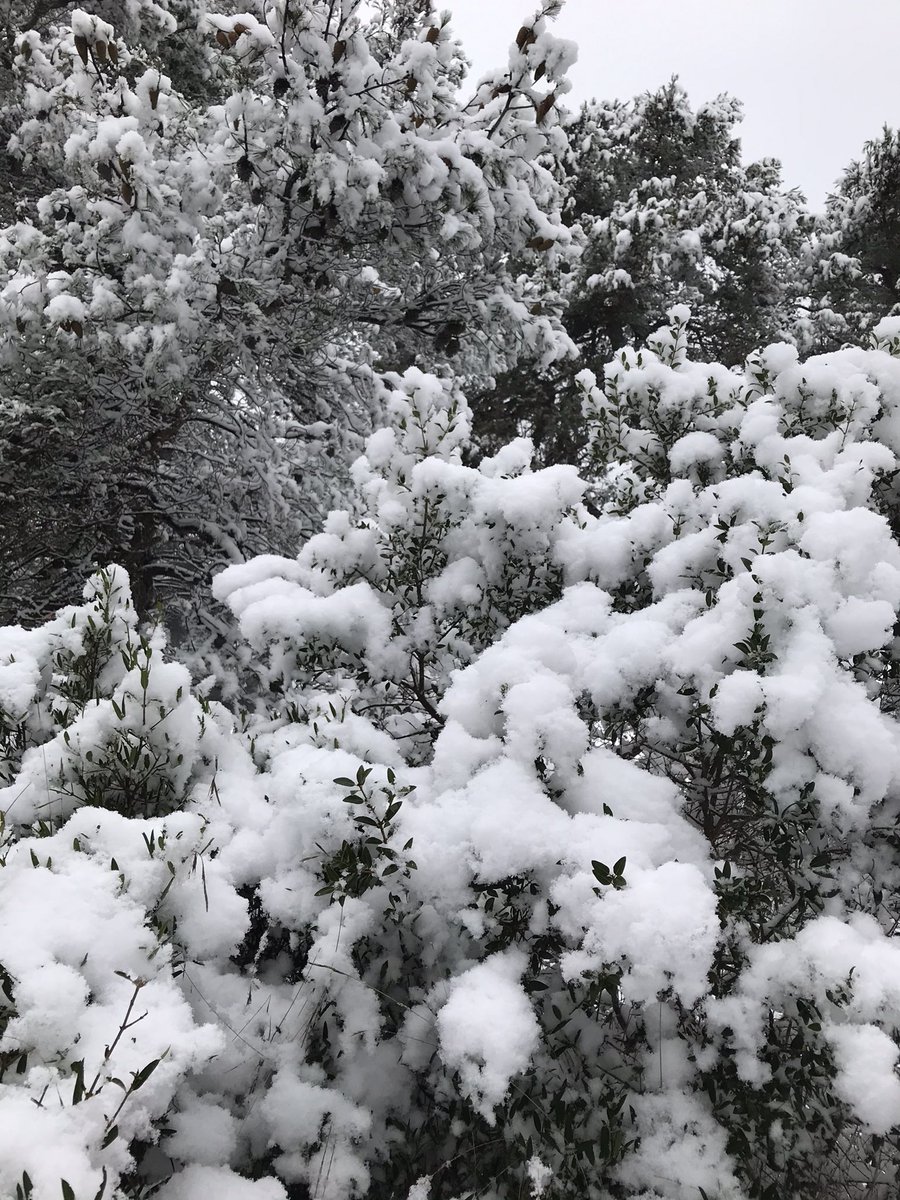 Ce n’est pas si souvent qu’il neige en Provence alors il n’était pas question de rester sous la couette 😉
Et on a bien fait c’était carrément magique, féerique je dirais même Fantastique 🤩🤩🤩
Et vous ?! C’était couette ou balade ?!
#neige #paysdaix