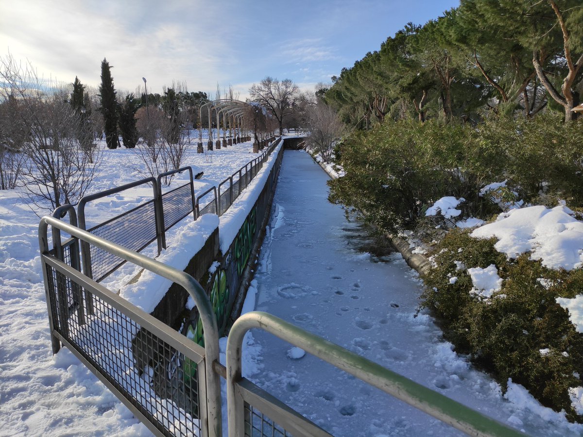 Pradolongo se Mueve tweet media