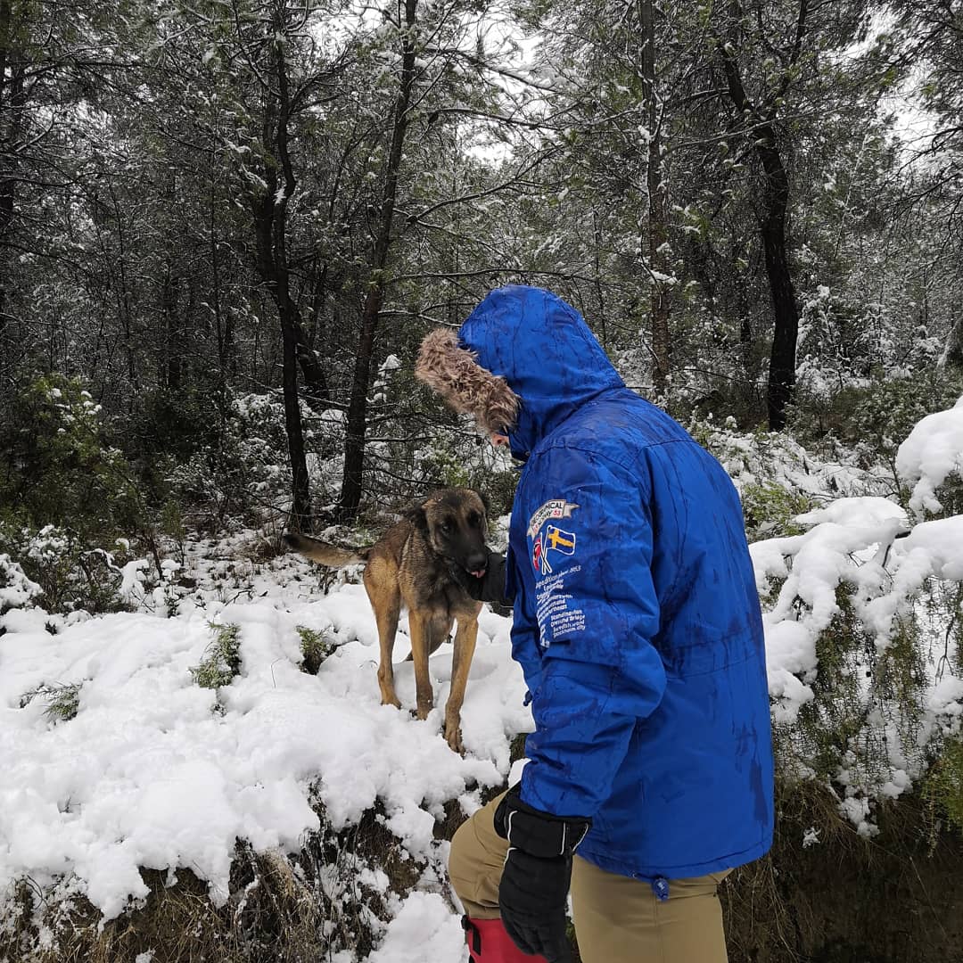 VelascoPerrero's tweet photo. ⛰️❄️🐕‍🦺 https://t.co/tizgXvfuY7