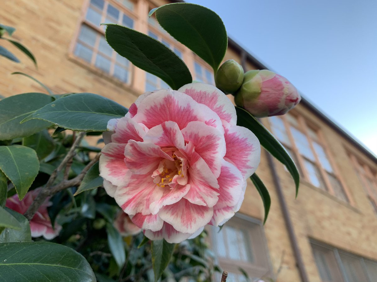 Grading Gardens Blog tweet media