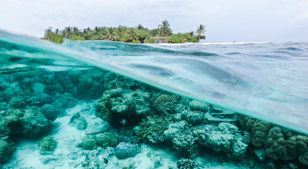 2021 holds critical opportunities for bold intl agreements in #OceanConservation. But #InnovativeFinance will be key for their long-term success.🌊
Bit.ly/SIDSBulletin29 shows how multi-partner finance can enable sustainable growth. 
Learn more👉bit.ly/3s1Fmlv
#SIDS