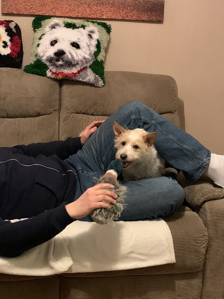 PrincessPedro13's tweet photo. I look like the cushion! https://t.co/FCgD95xHpM