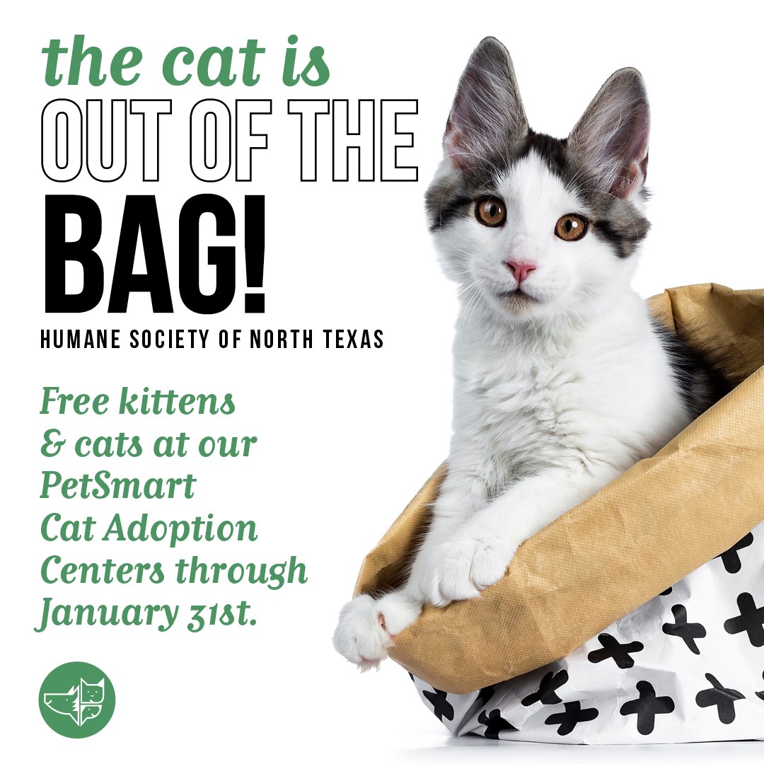 Petsmart sell cats top