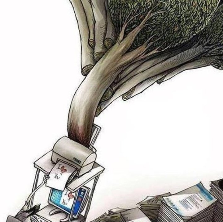 Ángel Caloca (@ang_cv) on Twitter photo 
