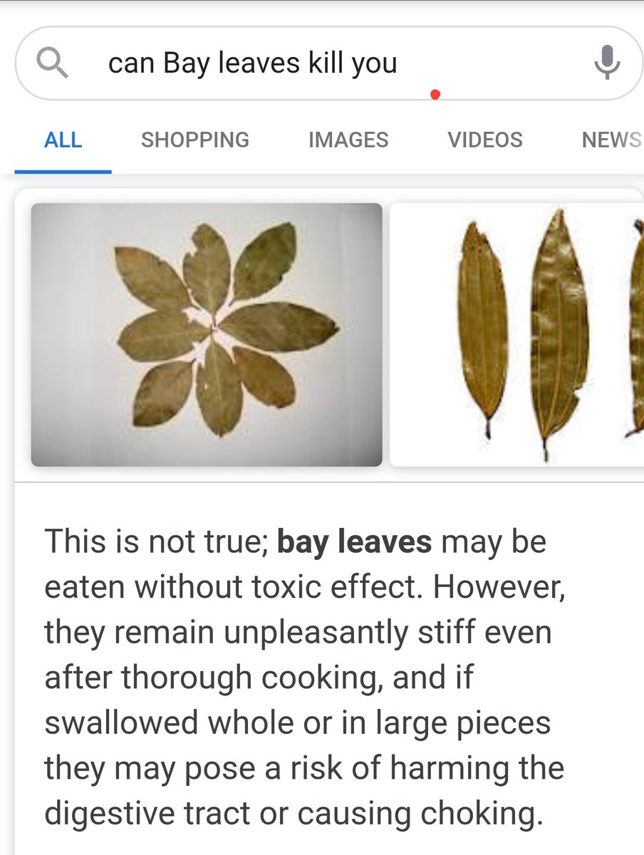 jacqzep's tweet photo. The more you know!!! #BayLeavesNotDeadly #ThingsIGoogle https://t.co/PJ8ztNK58A