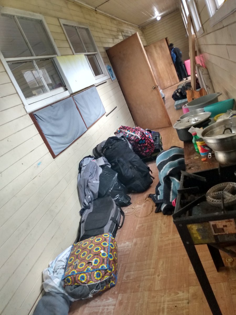 catalan_andrea's tweet photo. Un grupo de haitianos supuestamente contratados están desde el sábado en la noche abandonados sin comida sin medidas sanitarias condiciones inhumanas en #Pichil pte hube #chanchan #chifin #osorno @gigin78 @CarabLosLagos https://t.co/VbzJyXS7EK