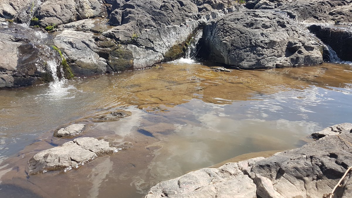 aniaf21's tweet photo. Las Cañas - Tacuarembó https://t.co/8tykYTMciO