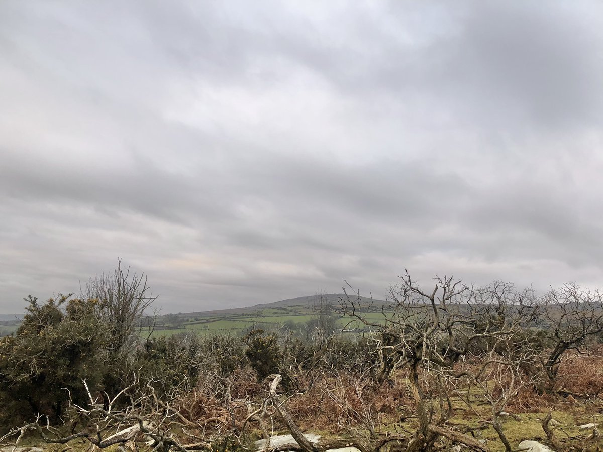AlwaysDorasMum's tweet photo. Rather overcast walkies today on #Pewtor #Dartmoor today https://t.co/VHNBWB5eDL