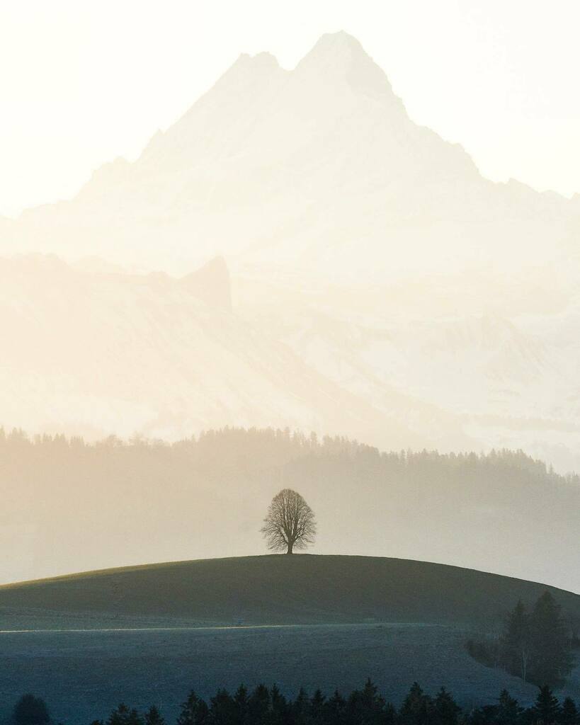 marcelgross_ch's tweet image. A tree with epic background
.
.
.
.
.
#igersbern #igersuisse #emmentalvalley #emmental #berneroberland #alpenliebe #madeinbern #swissnature #schweiztourismus #schweizeralpen #switzerland_destinations #swisslandscape #bestofswitzerland #amazingswitzerland… instagr.am/p/CJ36Qnsl2PS/
