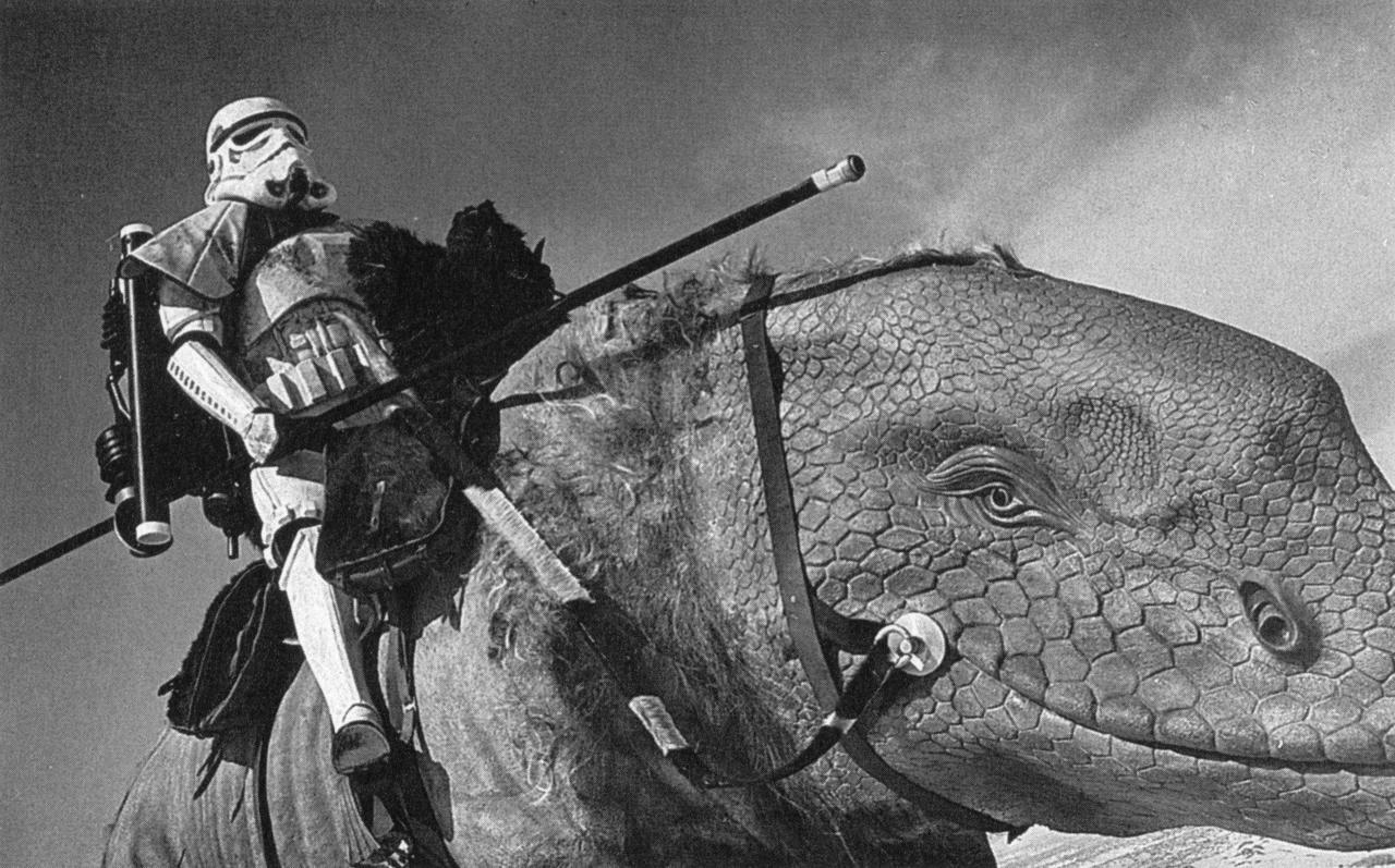 Sandtrooper hotsell and dewback