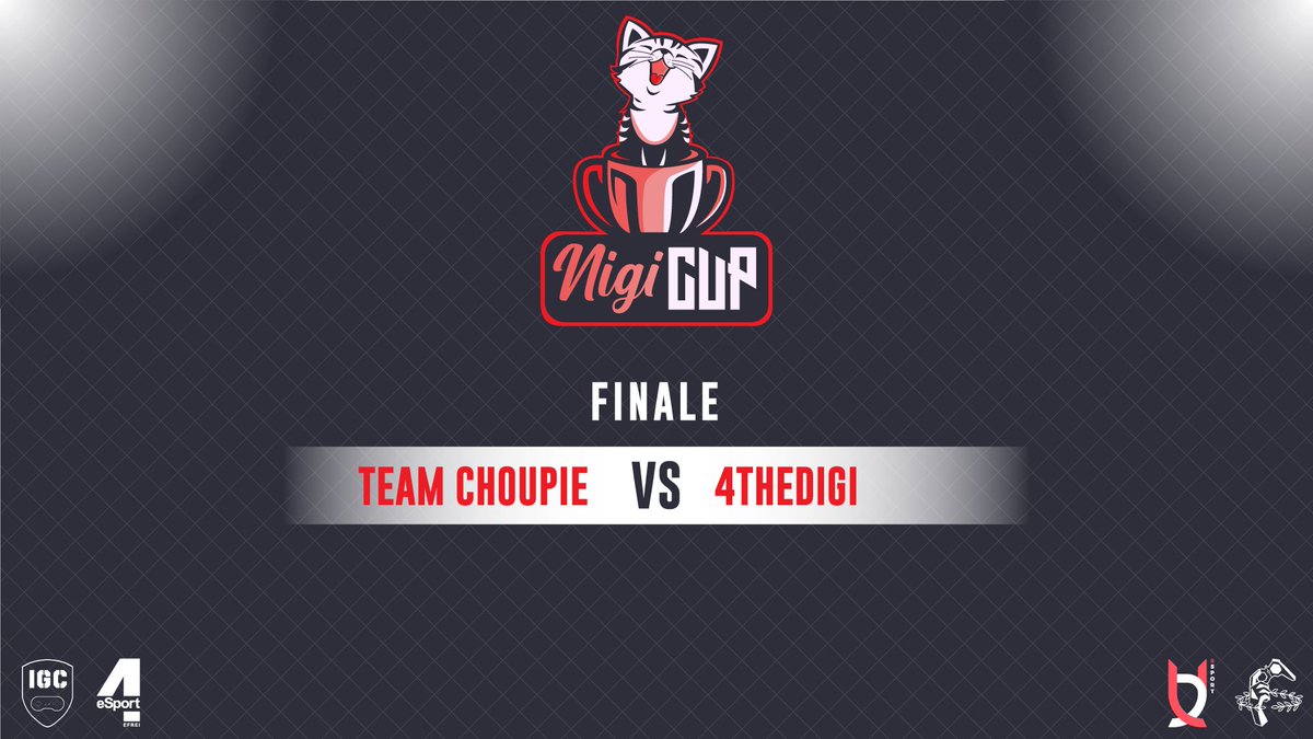 NigiCup's tweet photo. La finale opposera donc : 
Team Choupie vs 4TheDiGi
Venez nous rejoindre sur le stream à 21h !
 https://t.co/jEC7O7Ir5B https://t.co/pBzIy8phnF