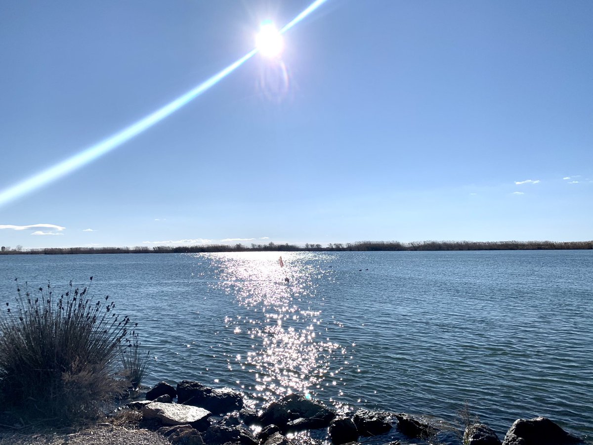 LidiaSauraB's tweet photo. fa uns dies vaig baixar al #Deltadelebre , es respirava pau i tranquilitat, l'aigua estava calmada i bonica, avui veig les imatges que ens deixa el temporal Filomena i se'm trenca el cor. Solucions efectives i reals ja!! s'està morint i l'estan deixant morir. Prou! #SOSDelta https://t.co/0iSbpcIgCQ
