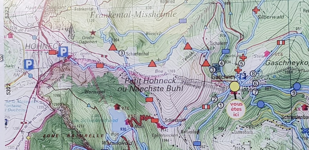 AlexanderWojda's tweet photo. Premier parcours de #skiderandonnée dans les #Vosges  | Erste #Schitour in den #Vogesen | First #skitour in the #Vosges 

#Gaschney ➡️ #Hohneck https://t.co/noMDnEopW9