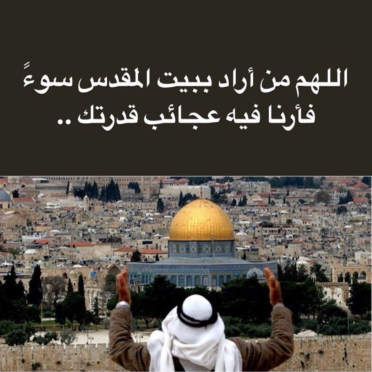OnlyPalestinian's tweet photo. @xvVXJtxGVZkODhn @haithemhamdi23 https://t.co/T43mXdA2Ni