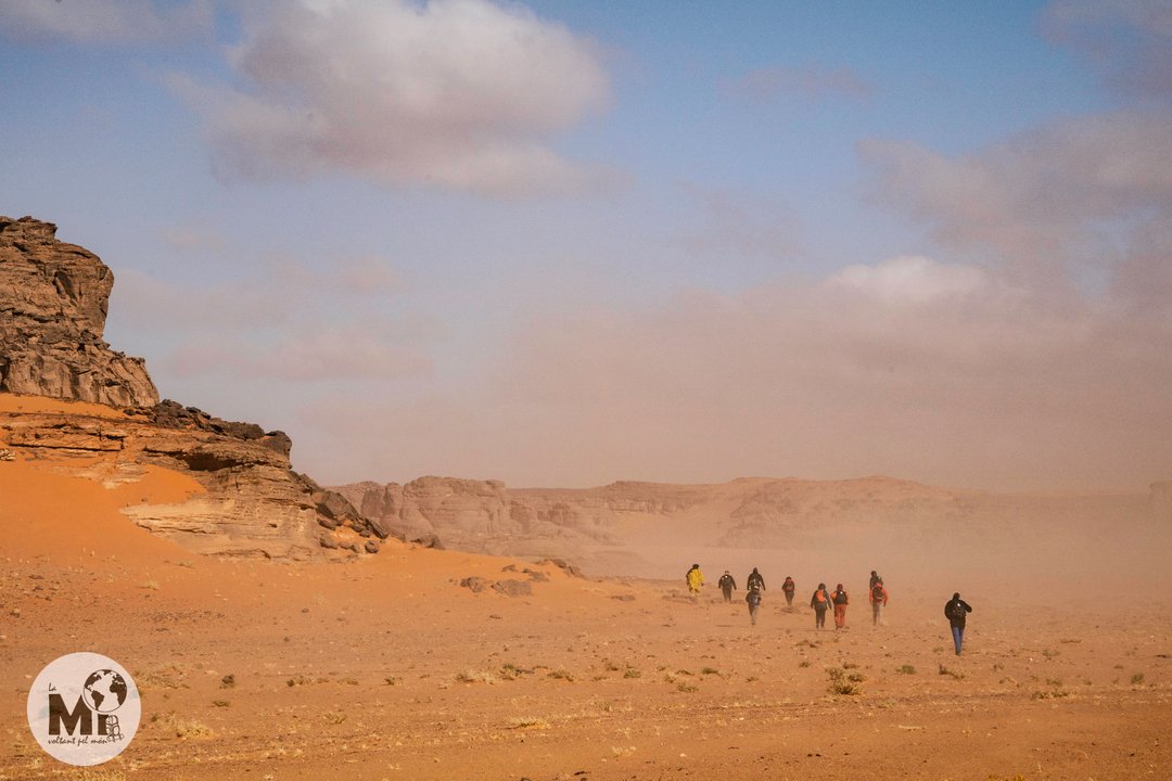 El motiu d'aquesta erosió tan fascinant del Tassili-Tadrart és en gran part el vent, que va desfent les roques d'arenisca amb una finíssima pols que es converteix en sorra daurada que amb els anys formarà les dunes. 

#africa #travelblogger #travelafrica #traveladdict #argel